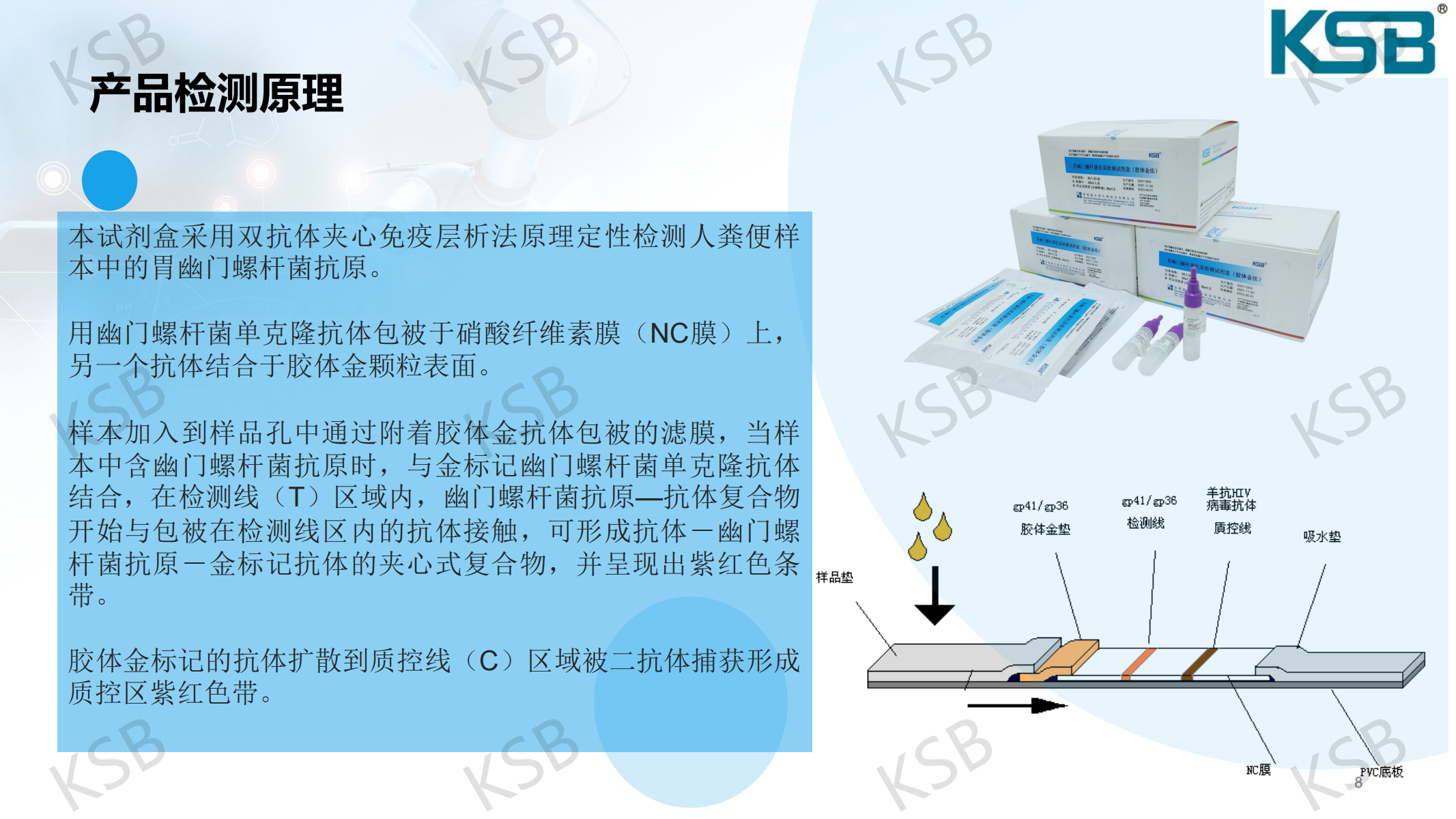幽门螺杆菌抗原检测试剂盒-产品介绍及操作详细图解(图8)